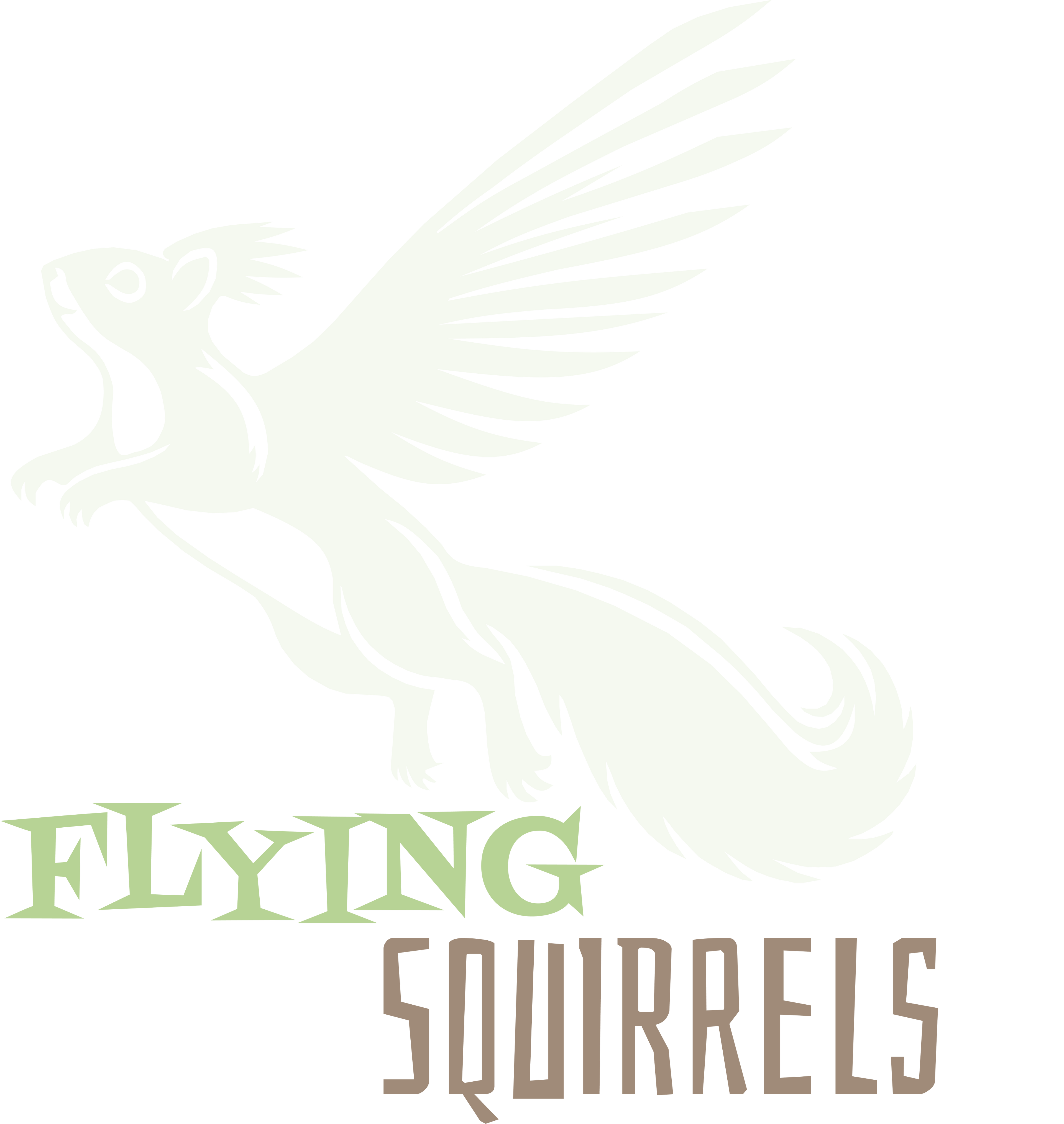 FlyingSquirrels.com