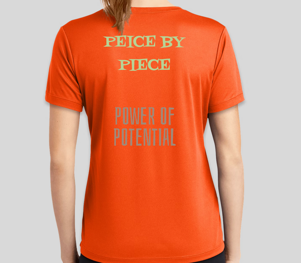 Flying Squirrels Tshirt